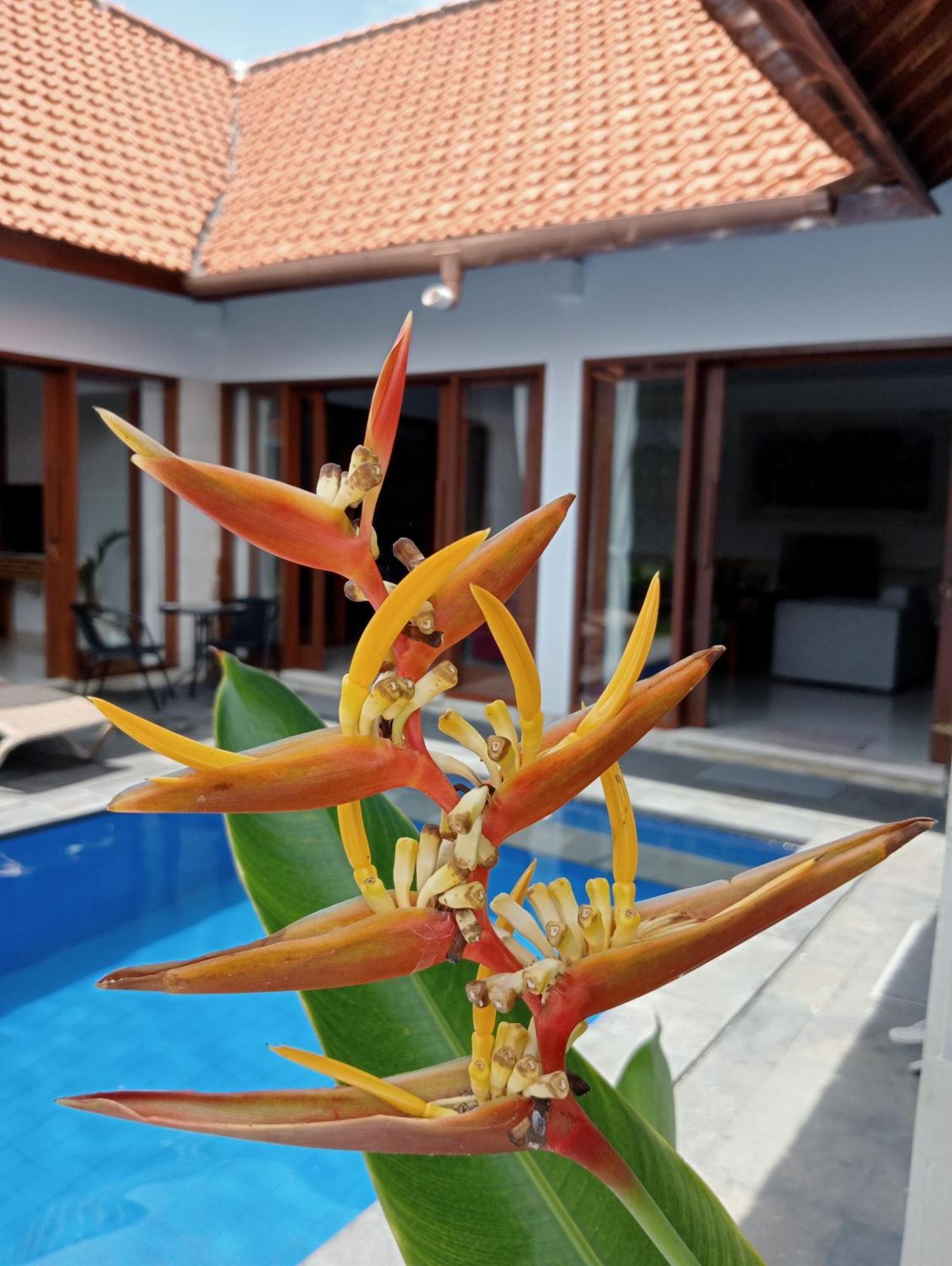 Pondok Indah Villa Ujung Εξωτερικό φωτογραφία